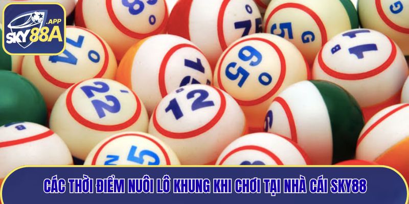 Các thời điểm nuôi lô khung khi chơi tại nhà cái Sky88