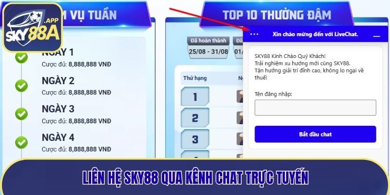 Nhận hỗ trợ chuyên nghiệp qua kênh chat trực tuyến