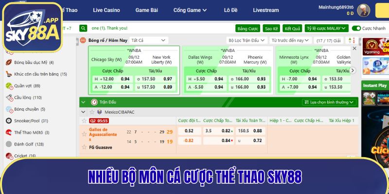 Nhiều bộ môn để cá cược tại sảnh thể thao Sky88