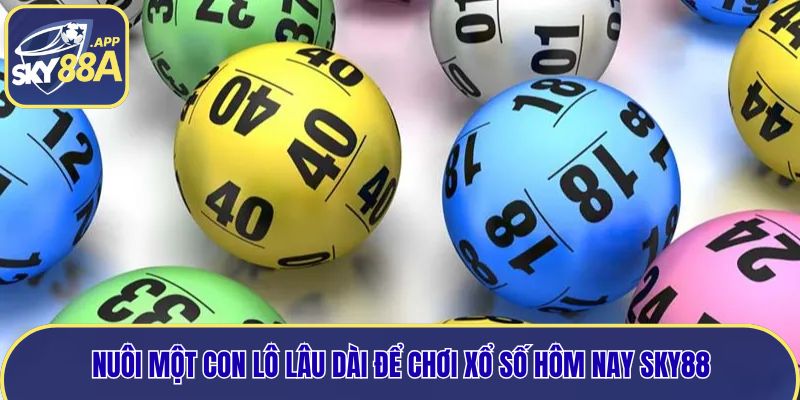 Nuôi một con lô lâu dài để chơi xổ số hôm nay Sky88