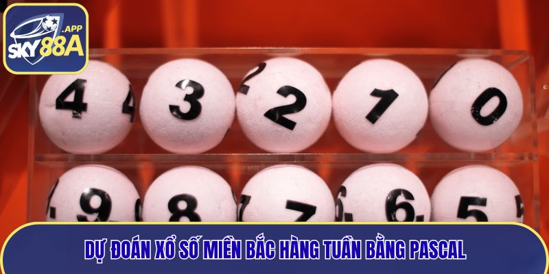 Dự đoán xổ số miền Bắc hàng tuần bằng Pascal